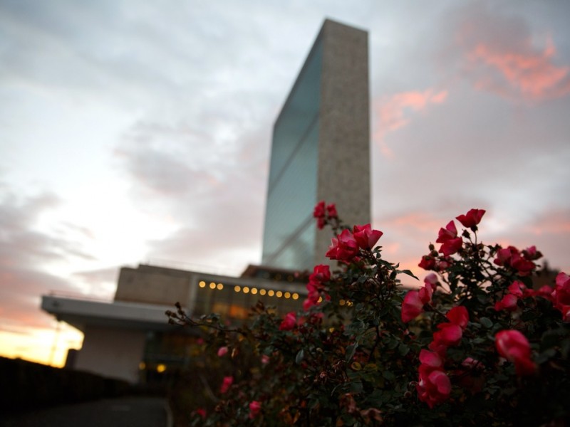 民国传奇夫妻:为离婚官司打到联合国(图)