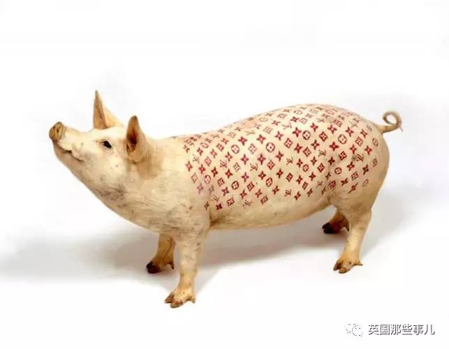 他用整块人皮做交易换来一身纹身,然而结局...