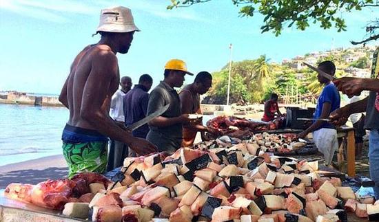 残忍!加勒比海岸鲸鱼惨遭当地渔夫捕杀售卖 (图)