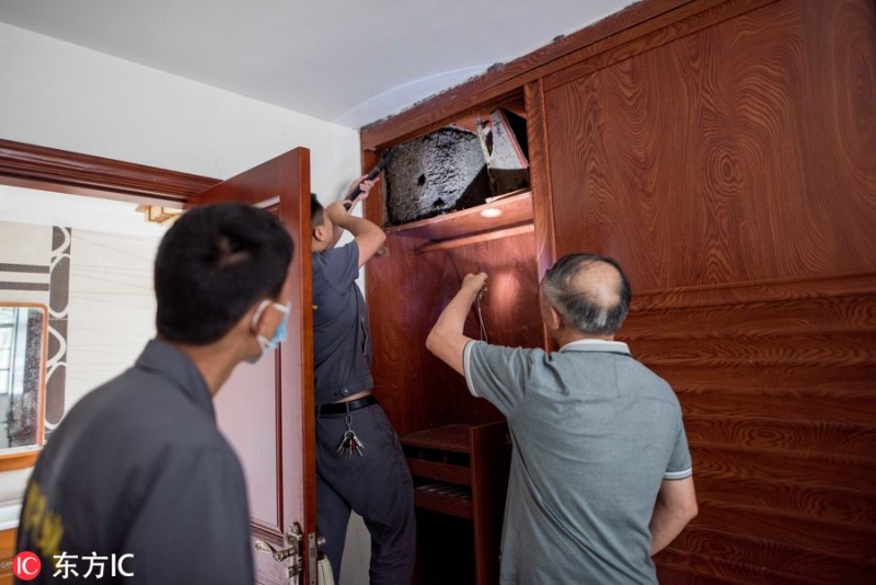 恐怖!千万豪宅里竟“端”出一个巨型白蚁巢(图)