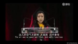 长平：批评政府就是辱华 那有多少人在辱美？(图)