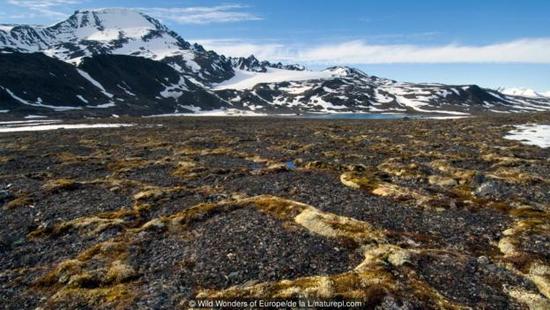 藏于冻土"古老病毒"复苏 一场噩梦并非不可能(图)