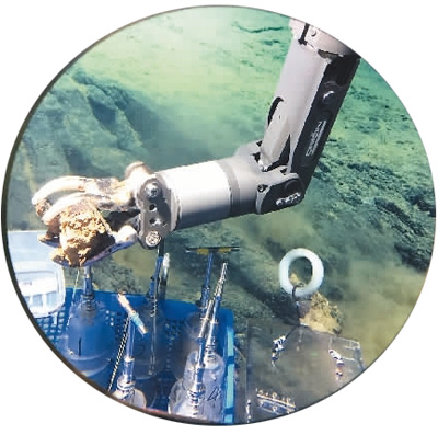 “蛟龙”号深海6699米处抓拍:狮子鱼这么游(图)