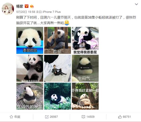 安迪渣英语,小包总油腻,赵启平恐怕最不招人烦了