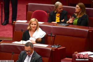 澳洲女议员创造历史 开会哺乳 成全国第一人(图)